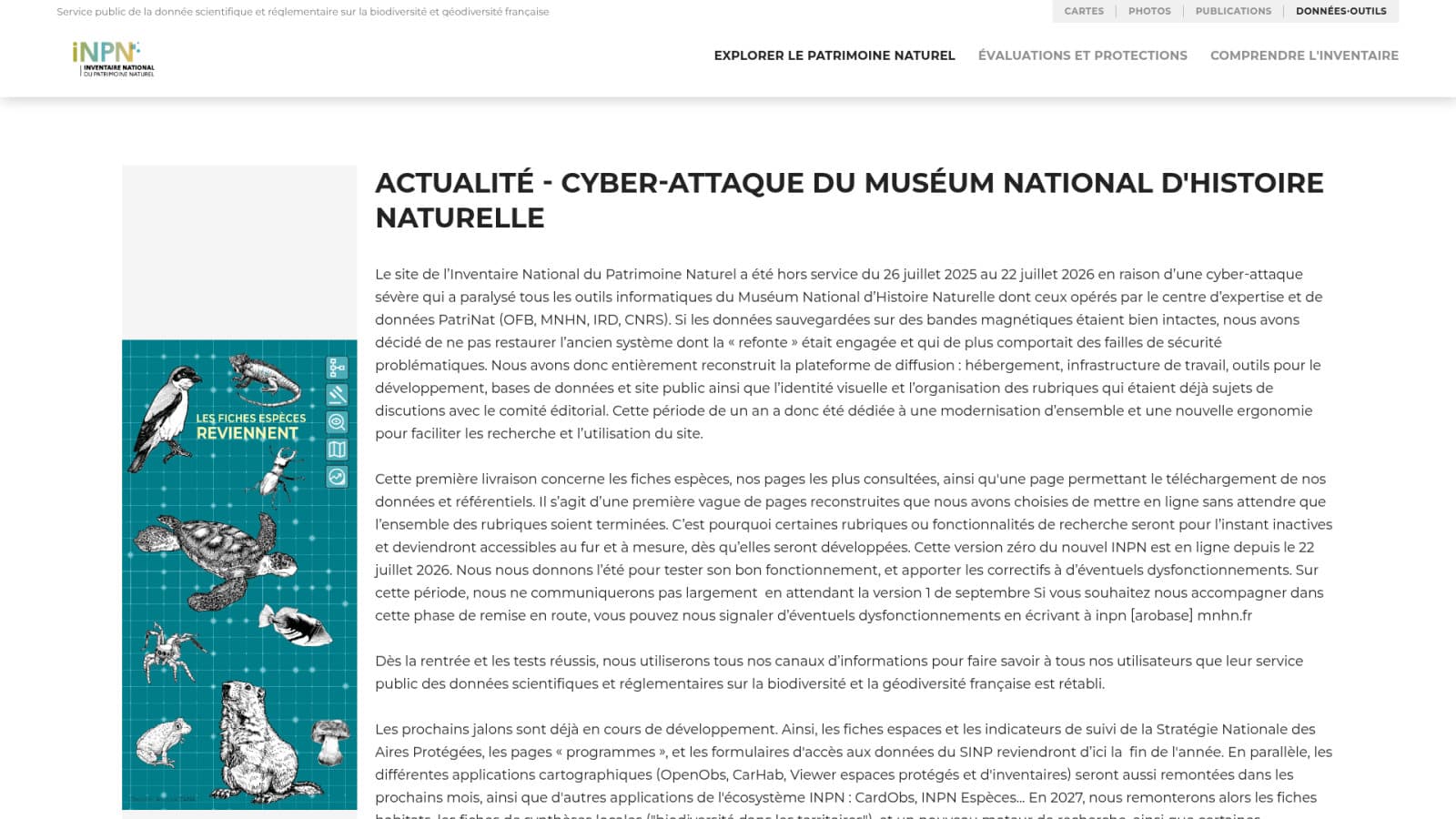 Nid de frelon asiatique : qui appeler selon la situation ?